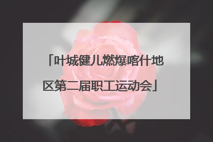 叶城健儿燃爆喀什地区第二届职工运动会