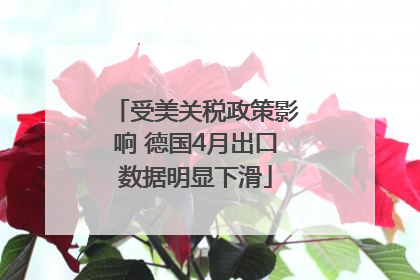 受美关税政策影响 德国4月出口数据明显下滑