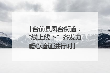 台前县凤台街道：“线上线下”齐发力 暖心验证进行时