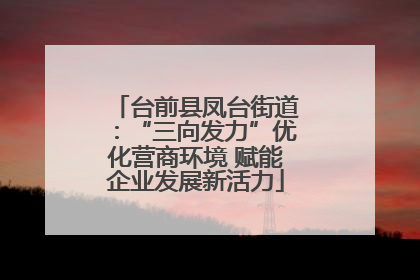 台前县凤台街道：“三向发力”优化营商环境 赋能企业发展新活力