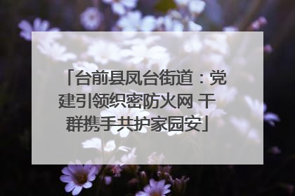 台前县凤台街道：党建引领织密防火网 干群携手共护家园安