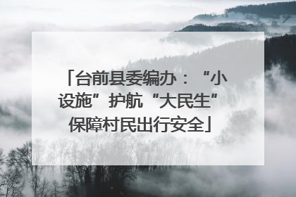 台前县委编办：“小设施”护航“大民生” 保障村民出行安全