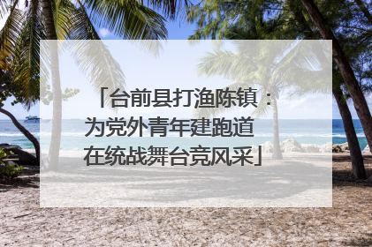 台前县打渔陈镇：为党外青年建跑道 在统战舞台竞风采