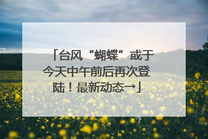 台风“蝴蝶”或于今天中午前后再次登陆！最新动态→