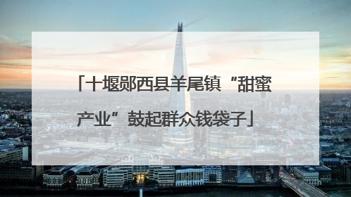 十堰郧西县羊尾镇“甜蜜产业”鼓起群众钱袋子