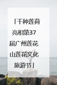千种莲荷亮相第37届广州莲花山莲花文化旅游节