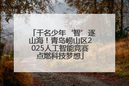 千名少年‘智’逐山海！青岛崂山区2025人工智能竞赛点燃科技梦想