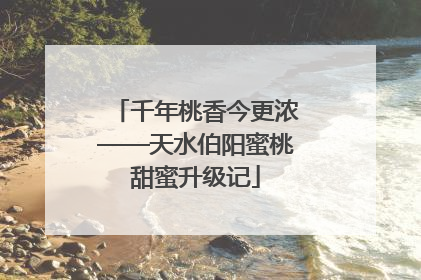 千年桃香今更浓——天水伯阳蜜桃甜蜜升级记