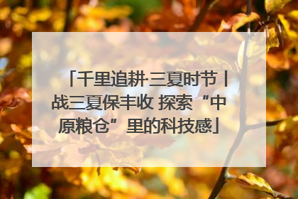 千里追耕·三夏时节丨战三夏保丰收 探索“中原粮仓”里的科技感