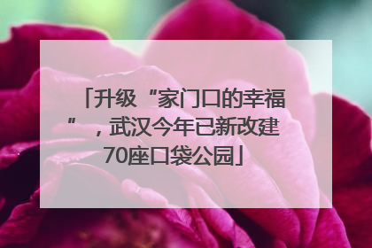 升级“家门口的幸福”，武汉今年已新改建70座口袋公园