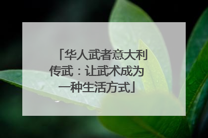 华人武者意大利传武：让武术成为一种生活方式