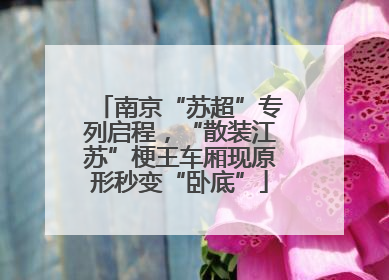 南京“苏超”专列启程，“散装江苏”梗王车厢现原形秒变“卧底”