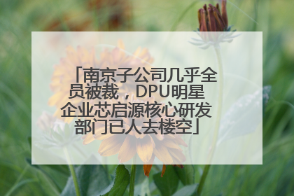 南京子公司几乎全员被裁，DPU明星企业芯启源核心研发部门已人去楼空