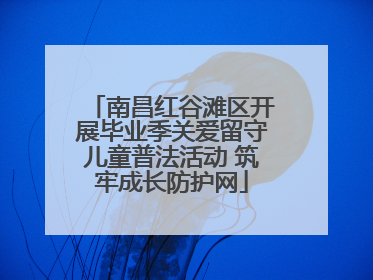 南昌红谷滩区开展毕业季关爱留守儿童普法活动 筑牢成长防护网