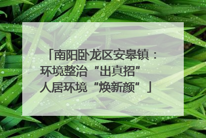 南阳卧龙区安皋镇：环境整治“出真招” 人居环境“焕新颜”