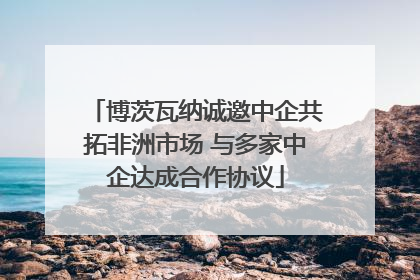 博茨瓦纳诚邀中企共拓非洲市场 与多家中企达成合作协议