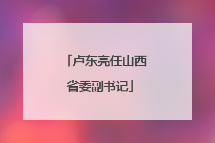 卢东亮任山西省委副书记