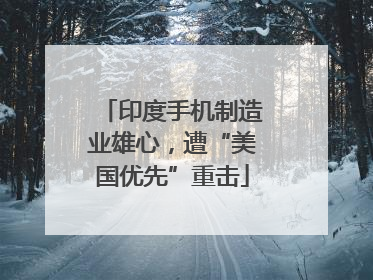 印度手机制造业雄心，遭“美国优先”重击