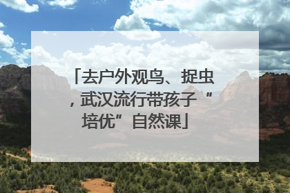 去户外观鸟、捉虫，武汉流行带孩子“培优”自然课