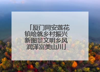 厦门同安莲花镇绘就乡村振兴新图景文明乡风润泽富美山川