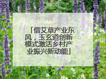 借艾草产业东风，玉玄道创新模式激活乡村产业振兴新动能