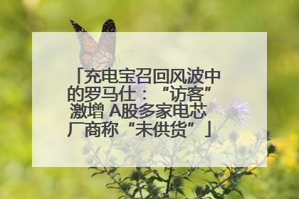 充电宝召回风波中的罗马仕：“访客”激增 A股多家电芯厂商称“未供货”