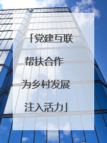 党建互联帮扶合作 为乡村发展注入活力