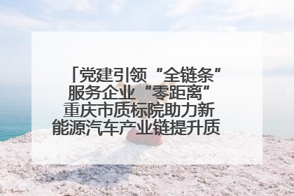 党建引领“全链条” 服务企业“零距离” 重庆市质标院助力新能源汽车产业链提升质量管理水平