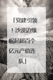 党建引领！沙漠边缘崛起超百个亿元产值连队