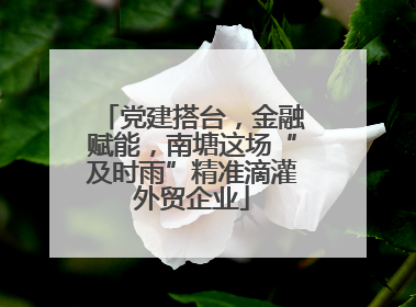 党建搭台，金融赋能，南塘这场“及时雨”精准滴灌外贸企业