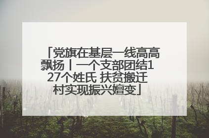 党旗在基层一线高高飘扬丨一个支部团结127个姓氏 扶贫搬迁村实现振兴嬗变