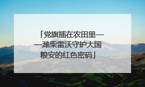 党旗插在农田里——潍柴雷沃守护大国粮安的红色密码