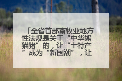 全省首部畜牧业地方性法规是关于“中华熊猫猪”的，让“土特产”成为“新国潮”，让“农产品”升格为“城市IP”