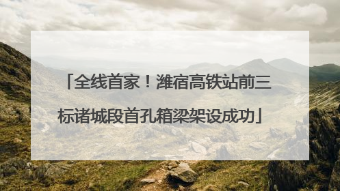 全线首家！潍宿高铁站前三标诸城段首孔箱梁架设成功
