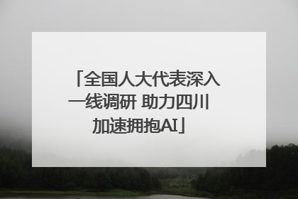 全国人大代表深入一线调研 助力四川加速拥抱AI