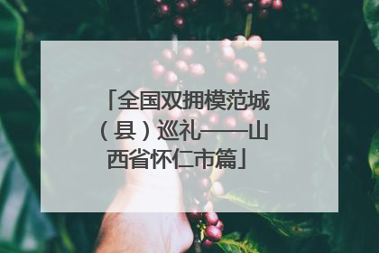 全国双拥模范城（县）巡礼——山西省怀仁市篇