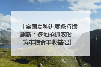 全国夏种进度条持续刷新：多地抢抓农时 筑牢粮食丰收基础