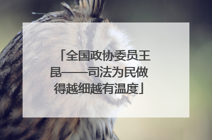 全国政协委员王昆——司法为民做得越细越有温度