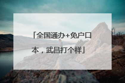 全国通办+免户口本，武昌打个样