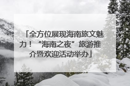 全方位展现海南旅文魅力！“海南之夜”旅游推介暨欢迎活动举办