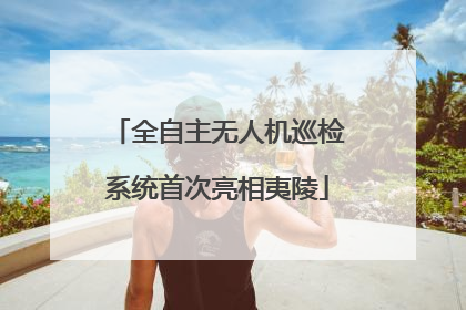全自主无人机巡检系统首次亮相夷陵