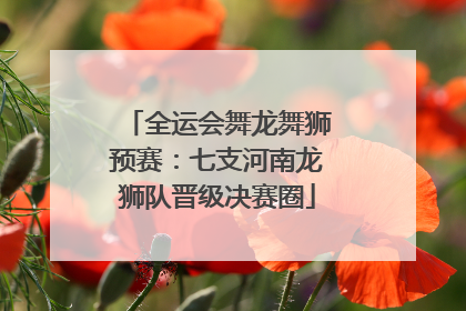 全运会舞龙舞狮预赛：七支河南龙狮队晋级决赛圈