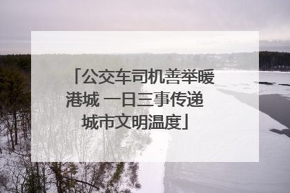 公交车司机善举暖港城 一日三事传递城市文明温度