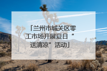 兰州市城关区零工市场开展夏日“送清凉”活动