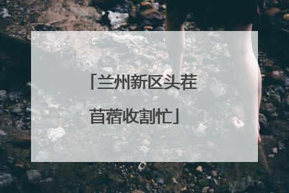 兰州新区头茬苜蓿收割忙