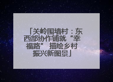 关岭围墙村：东西部协作铺就“幸福路” 描绘乡村振兴新图景