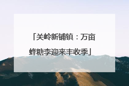 关岭新铺镇：万亩蜂糖李迎来丰收季