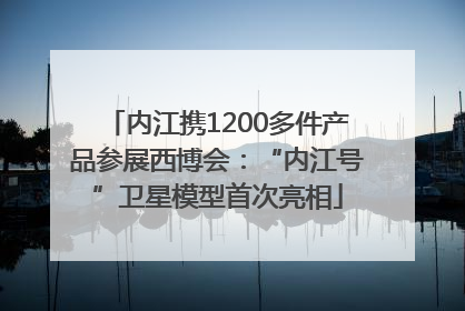 内江携1200多件产品参展西博会：“内江号”卫星模型首次亮相