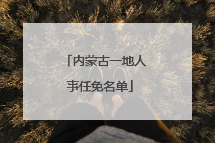 内蒙古一地人事任免名单
