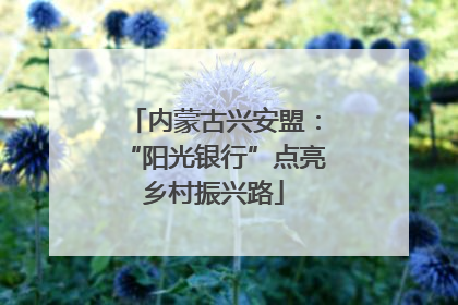 内蒙古兴安盟：“阳光银行”点亮乡村振兴路